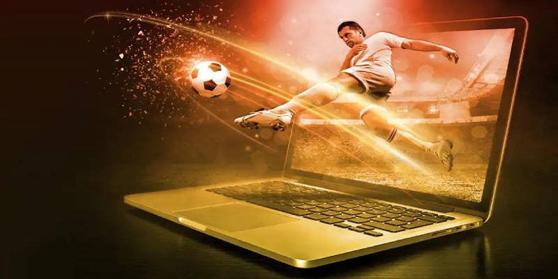 Những điểm nổi bật về giao diện của hai thương hiệu