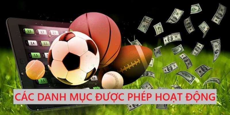 Các danh mục được cho phép hoạt động
