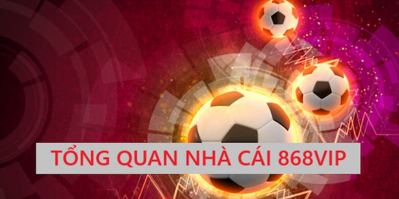 Khám phá những thông tin có thể bạn chưa biết về 868vip