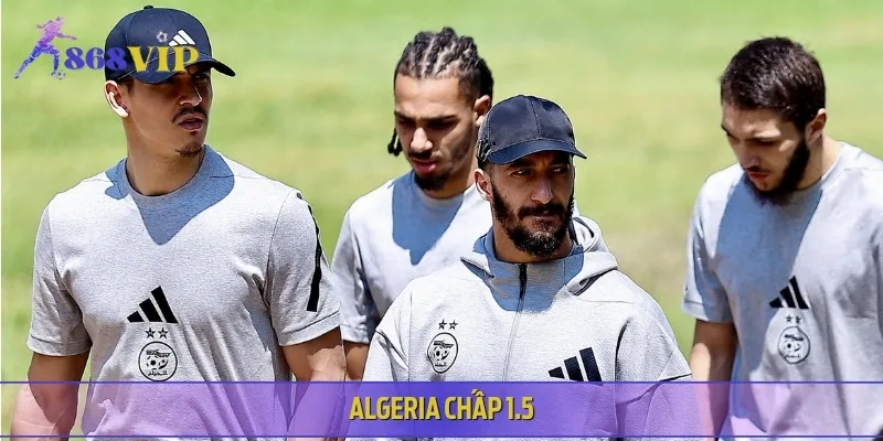 Đối với kèo châu Á, Algeria có thể sẽ chấp đội đối thủ ở mức 1.5