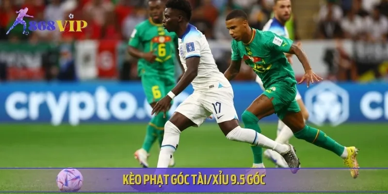 Kèo phạt góc Tài/Xỉu được đánh giá cao ở mức 9.5 góc