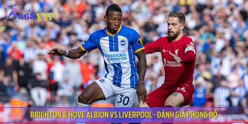 Brighton & Hove Albion vs Liverpool - Đánh giá phong độ