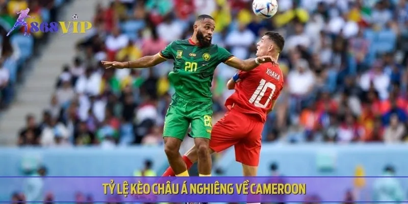 Có khả năng tỷ lệ kèo châu Á sẽ nghiêng về phía Cameroon