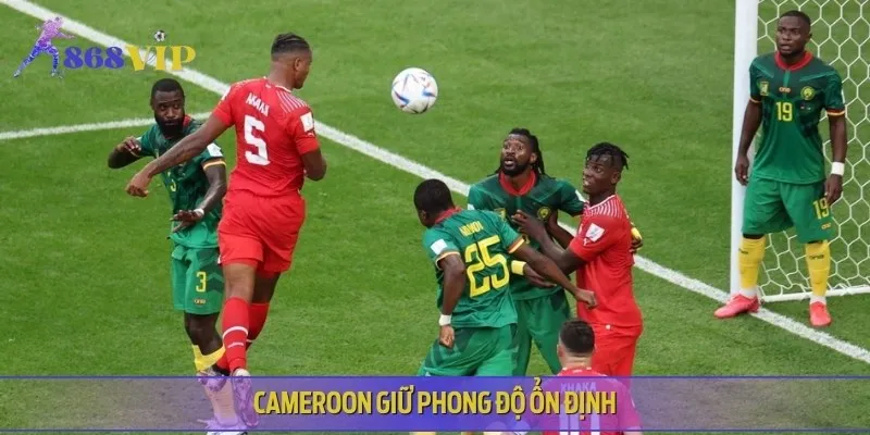 Trong trận Equatorial Guinea vs Cameroon, Cameroon có phong độ ổn định