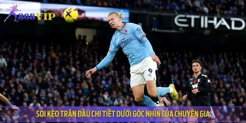 Soi kèo trận đấu chi tiết dưới góc nhìn của chuyên gia
