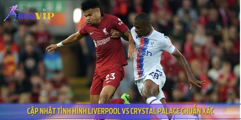 Cập nhật tình hình Liverpool vs Crystal Palace chuẩn xác