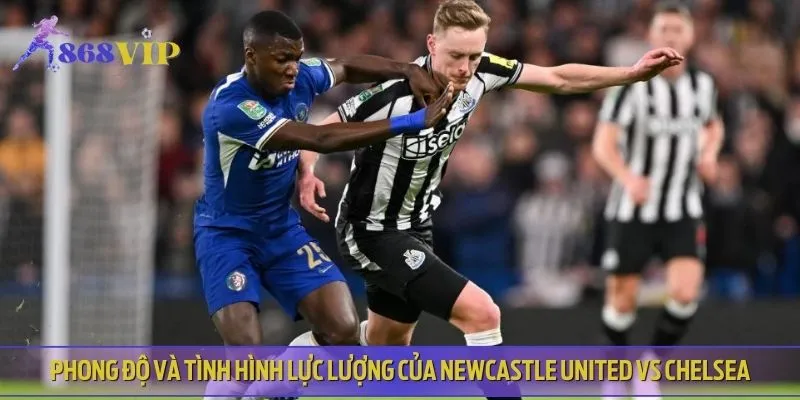 Newcastle United gặp nhiều bất ổn tại mùa giải năm nay