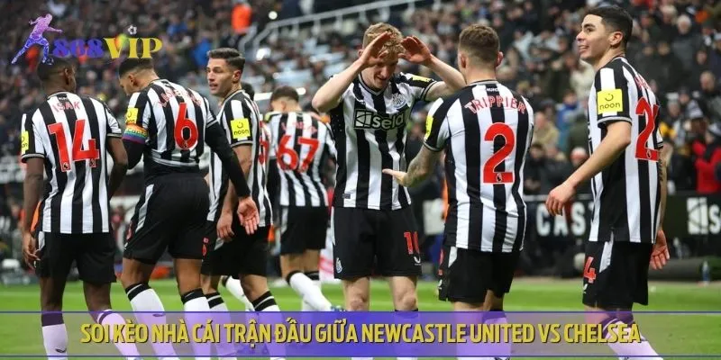 Kèo tài xỉu trận Newcastle United vs Chelsea dự đoán nhiều bàn thắng