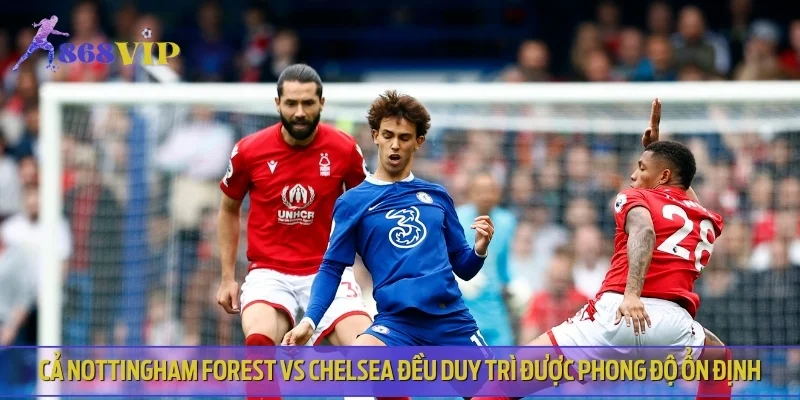 Cả Nottingham Forest vs Chelsea đều duy trì được phong độ ổn định