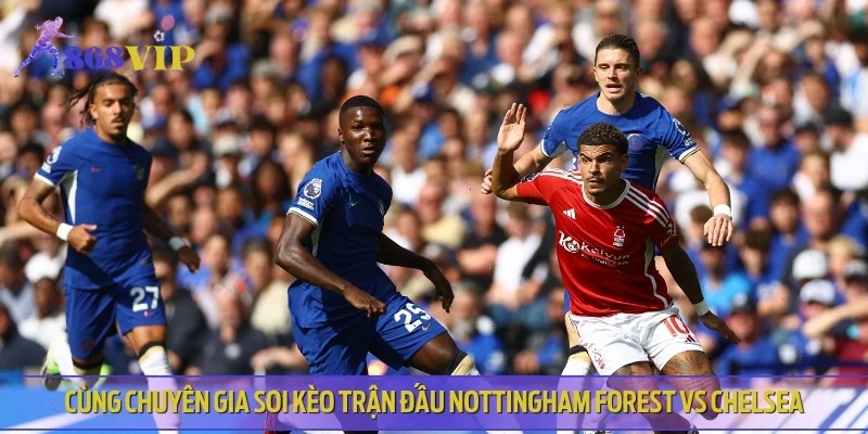 Cùng chuyên gia soi kèo trận đấu Nottingham Forest vs Chelsea