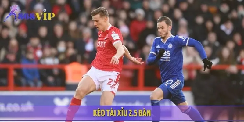 Kèo tài xỉu ở trận đấu này sẽ ở mức 2.5 bàn phản ánh nhiều bàn thắng