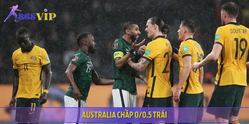 Australia được đánh giá cao hơn, chấp Saudi Arabia trong trận cầu này