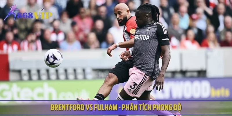 Brentford vs Fulham - Phân tích phong độ