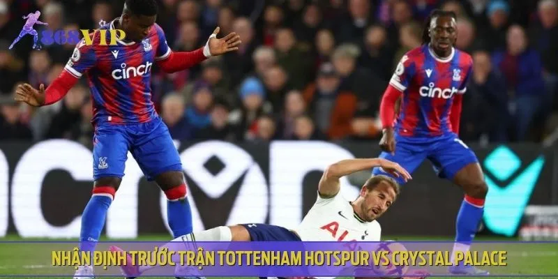 Tottenham Hotspur vs Crystal Palace đều sở hữu phong độ khá ổn định