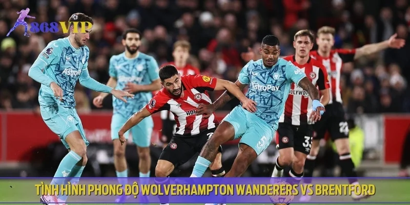 Tình hình phong độ Wolverhampton Wanderers vs Brentford