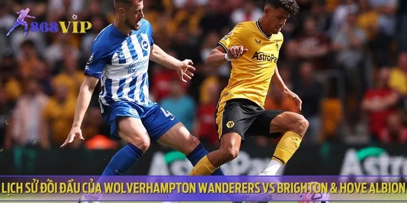 Wolverhampton Wanderers vs Brighton & Hove Albion từng gặp nhau 23 lần