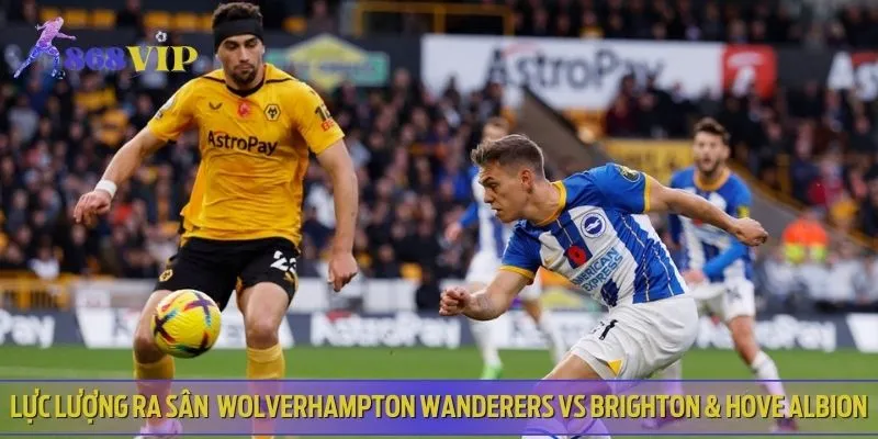 Wolverhampton Wanderers khả năng tiếp tục triển khai sơ đồ 4-2-3-1