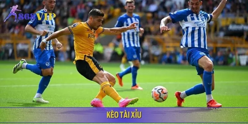 Kèo tài xỉu Wolverhampton Wanderers vs Brighton & Hove Albion dự đoán nhiều bàn thắng được ghi