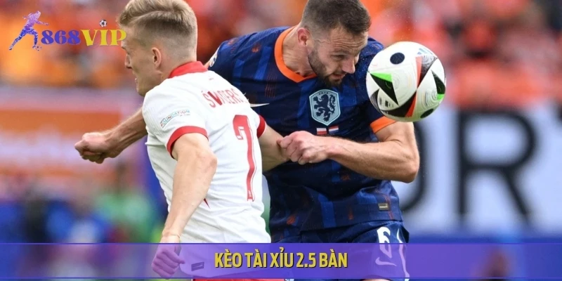 Trận đấu Hà Lan vs Ba Lan hứa hẹn sôi động với tỷ lệ tài xỉu ở mức 2.5