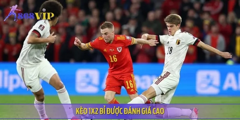 Tỷ lệ thắng nghiêng hẳn về Bỉ, cơ hội bất ngờ gần như không