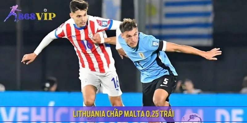 Lithuania chấp Malta 0.25 trái, kèo khó tin chọn cửa dưới