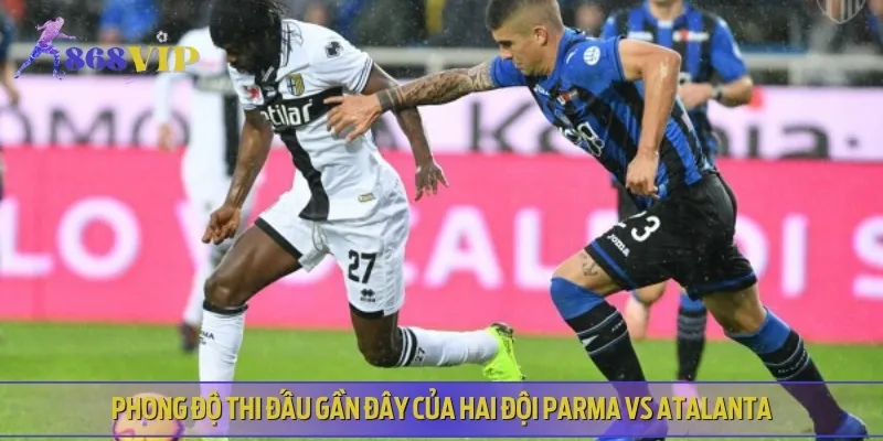 Phân tích phong độ thi đấu hiện tại của Parma vs Atalanta
