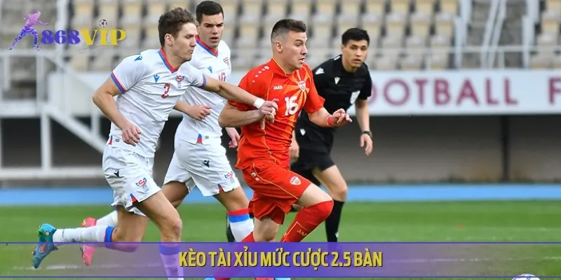 Dự đoán trận đấu Poland vs North Macedonia sẽ có trên dưới 2.5 bàn thắng