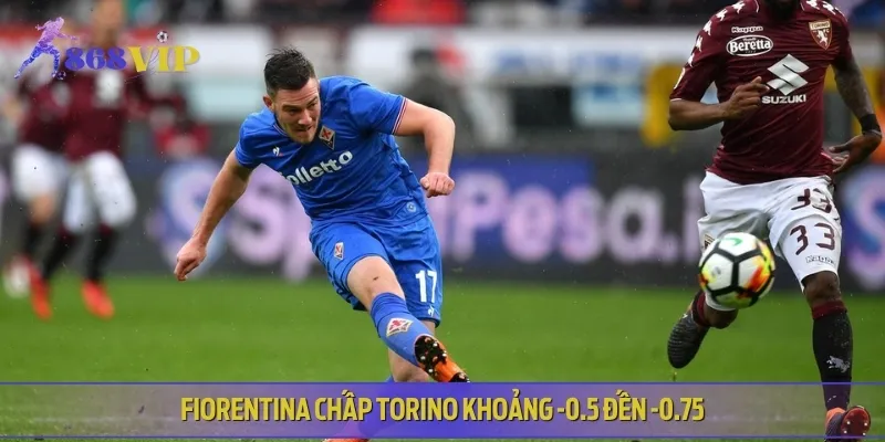 Fiorentina được đánh giá cao hơn dù phải làm khách Torino