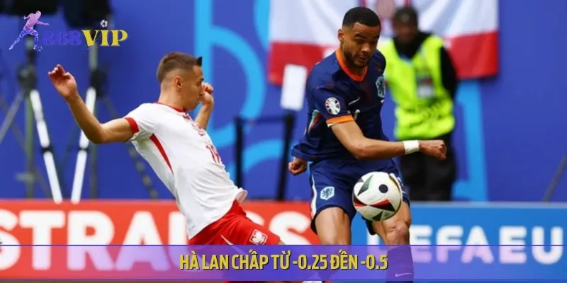 Hà Lan nhỉnh hơn Lithuania, chấp nhẹ -0.25 đến -0.5 trái trên sân khách