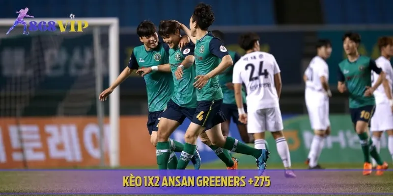 Tỷ lệ 1X2 nghiêng nhẹ về Seoul, Ansan vẫn có cơ hội bất ngờ