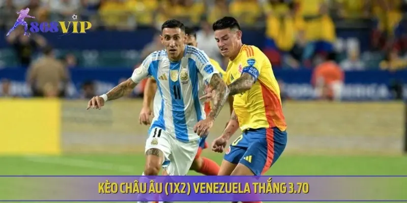 Tỷ lệ Venezuela thắng khá cao, phù hợp với người chơi ưa mạo hiểm