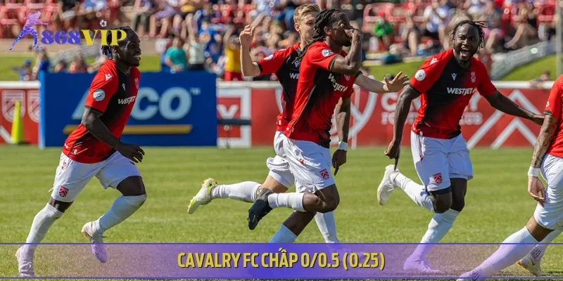 Kèo châu Á nhẹ cho Cavalry FC, ưu thế nhỏ trước York United