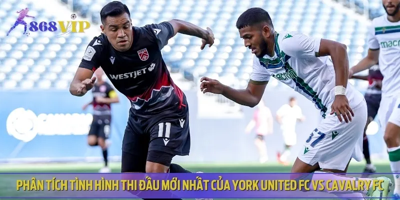Nhận định phong độ thi đấu của York United FC vs Cavalry FC