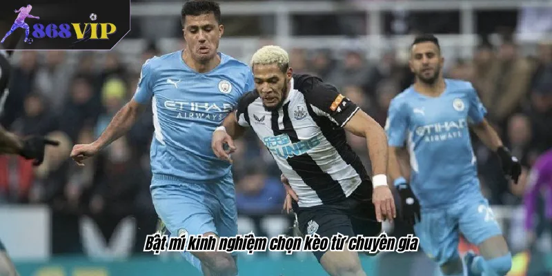 Bật mí kinh nghiệm chọn kèo từ chuyên gia