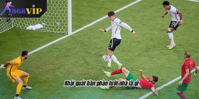 Khái quát bàn phản lưới nhà là gì