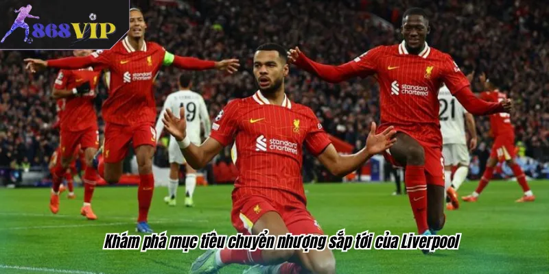 Khám phá mục tiêu chuyển nhượng sắp tới của Liverpool