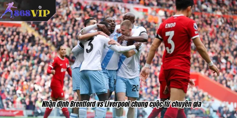 Nhận định Brentford vs Liverpool chung cuộc từ chuyên gia