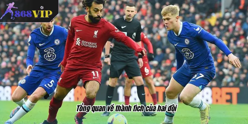 Tổng quan về thành tích của hai đội